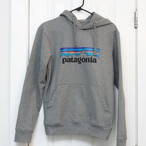 Patagonia Men's Gray Hoodie